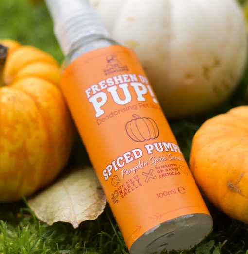 Freshen Up Pup! - Deodorising Dog Spray - Spiced Pumpkin, Pumpkin Spice Scent (Limited Edition) - Image 2