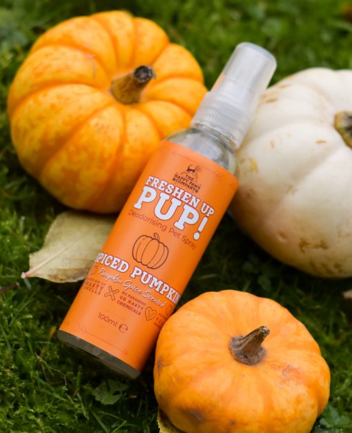 Freshen Up Pup! - Deodorising Dog Spray - Spiced Pumpkin, Pumpkin Spice Scent (Limited Edition)